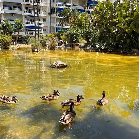 Costalago Beach Torremolinos Exterior photo